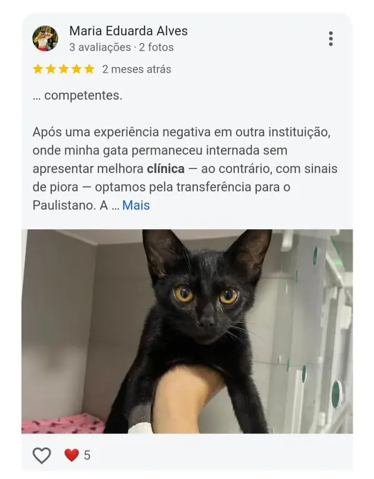 Avaliação real de tutor no Google