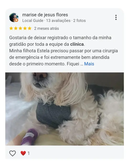 Avaliação real de tutor no Google
