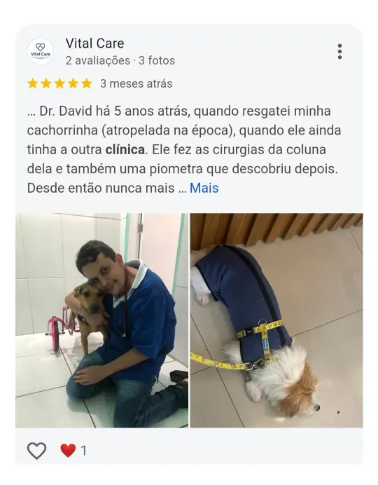Avaliação real de tutor no Google