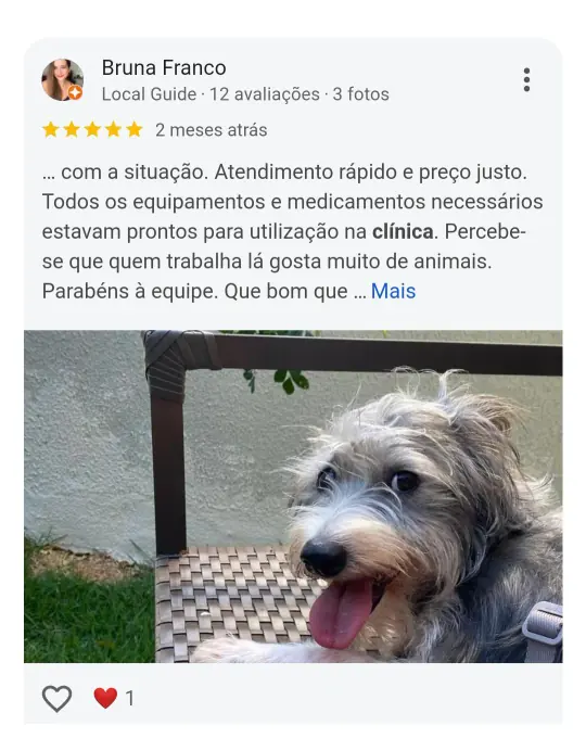 Avaliação real de tutor no Google