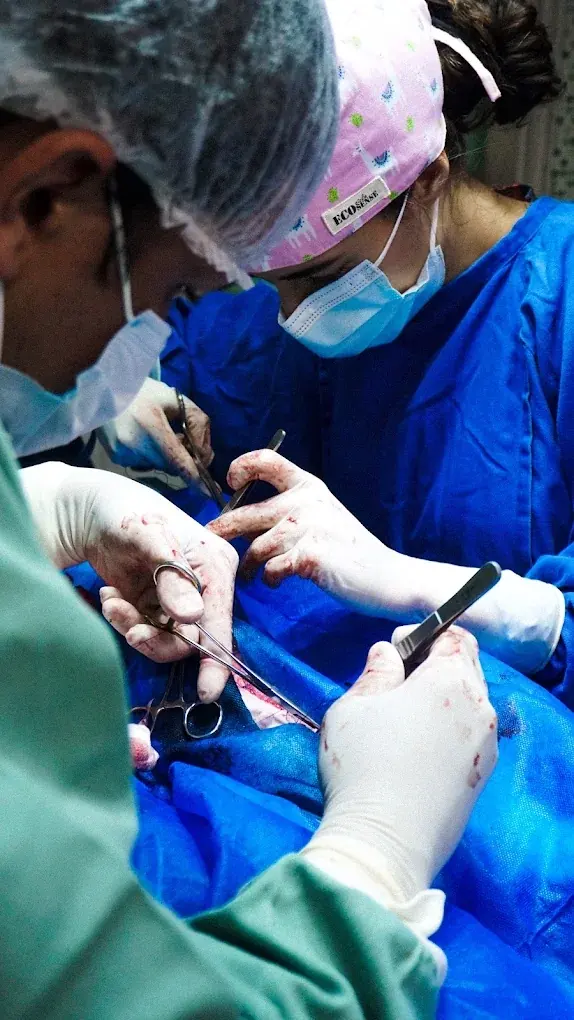 Equipe do Vet Paulistano realizando uma cirurgia